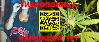 СК Гусь-Хрустальный