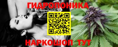 СК Гусь-Хрустальный