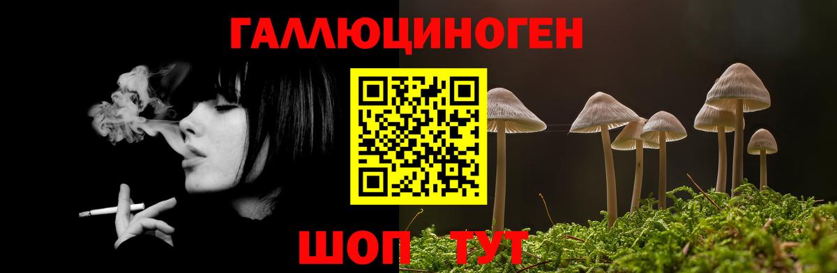 Псилоцибиновые грибы ЛСД Мелеуз